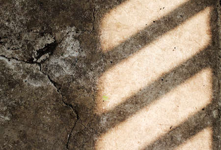 shadow of fence on old cement floorの写真素材
