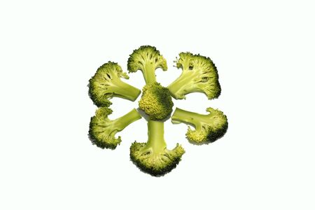 broccoli on white backgroundの写真素材