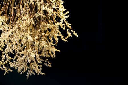 abstract image of  bouguet of dried flowersの写真素材