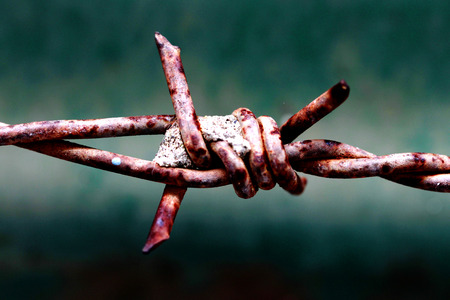 rusty barbed wireの写真素材