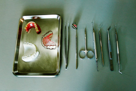 dental equipment with human teeth plastic model