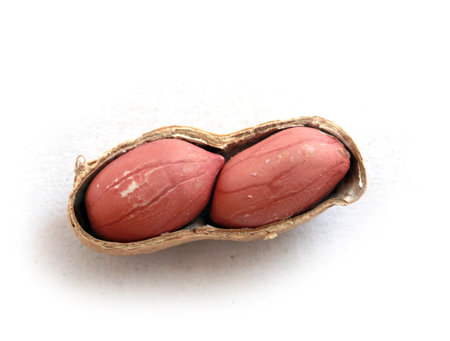 dried peanut in white background