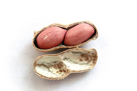 dried peanut in white background