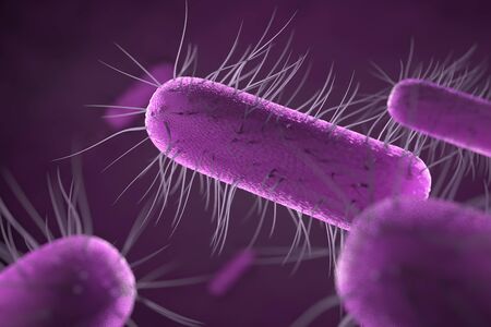 close up of microscopic bacteria , 3d illustrationの写真素材
