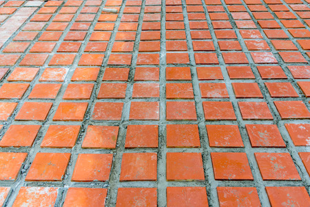 Paving Clay tiled  walkway.の写真素材
