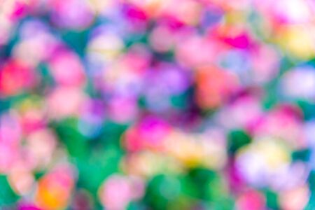 Light bokeh background.の写真素材