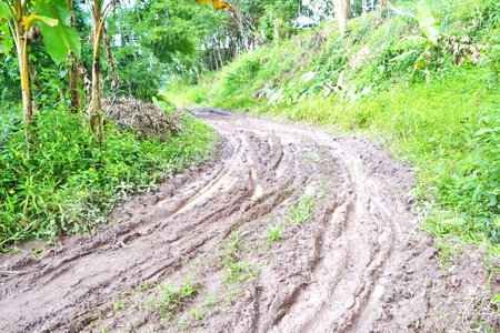 Roads in rural Thai country の写真素材