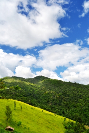 High mountains View,Beautiful views of the country s northern Thaiの写真素材