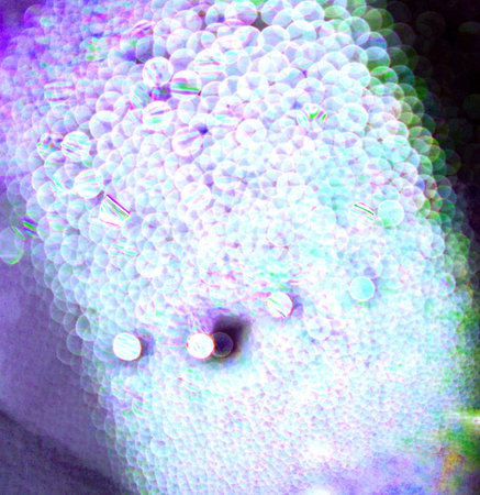 Abstract bokeh 