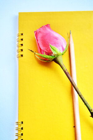 Many budding pink roses placed on the notebookの写真素材