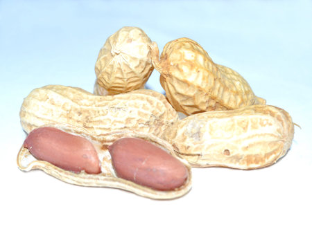 Peanuts,Monkey nuts in a pile isolated on a white background