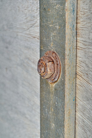 screw head in a rusty surface