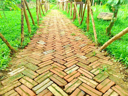 red brick walkway in the garden with green grassの写真素材