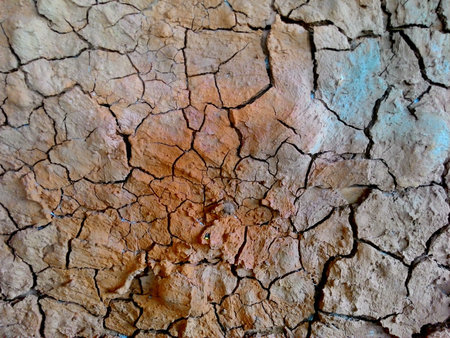 Cracked and barren ground