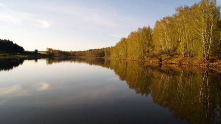 Trees reflected in Lake Forestの写真素材