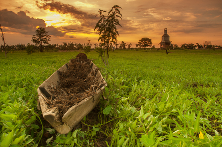 Boat in the up of green fieldの写真素材