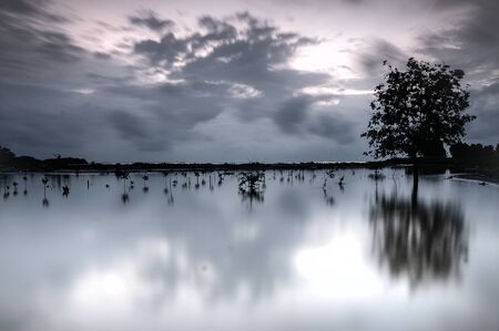 The monocrome landscape of beachの写真素材