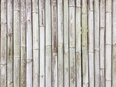 Bamboo boundary wall material texture pattern