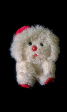 Furry toy on dark backgroundの素材
