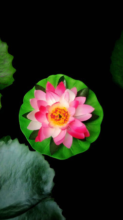 The colorful lotus flower made of colored fabric floating on the waterの素材