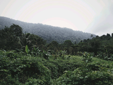 Mountain with green natureの素材