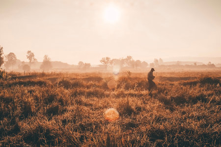 The atmosphere of the winter sunrise in the countrysideの写真素材