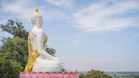 The elegance of Buddha statues in the forest templeの写真素材