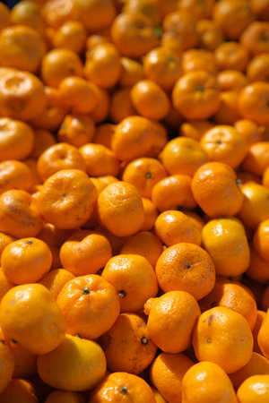 Fresh orange sold in supermarketsの写真素材