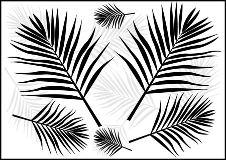 Palm Leaf Background.のイラスト素材