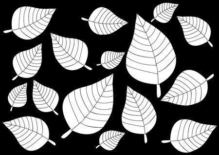 White leaves are falling on black background.- Illustration,Autumn, Textile, tree, Abstract, Arts ,Single Line, Pattern, Foliage Pattern, Natural Patternのイラスト素材