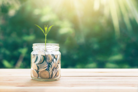 Plant Growing In Savings Coins Sprout growing on glass piggy bank with sunset light. planning savings money of coins concept for property, mortgage and business investment.の写真素材