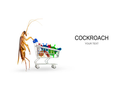 Cockroaches and trolley with various germs on a white background. Concept of home invasive pest...