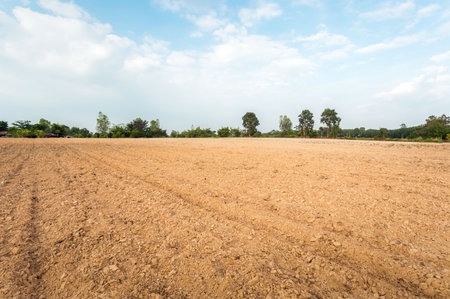 Empty dry cracked swamp reclamation soil, land plot for housing construction project with car tire print in rural area and beautiful blue sky with fresh air Land for sales landscape concept.の写真素材