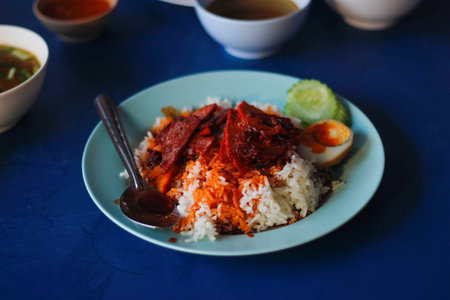Barbecued red pork in sauce with rice With egg and cucumber.on blue dish.select focus.の写真素材