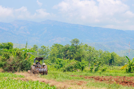Preparing soil for plant With tractorの写真素材