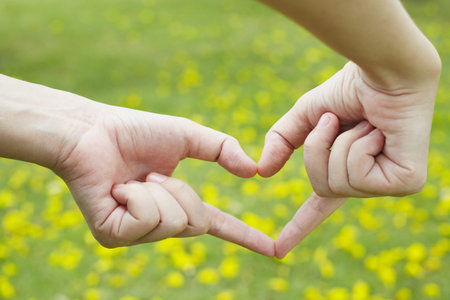 Heart symbol in handの写真素材