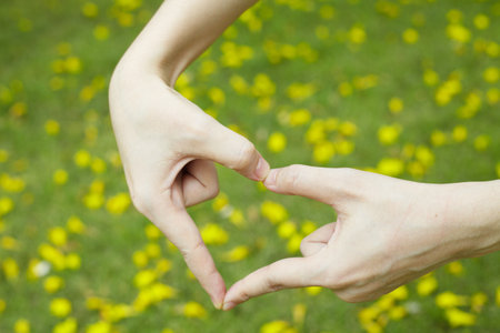 Heart symbol in handの写真素材