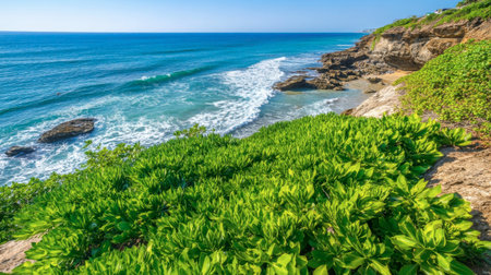 A breathtaking coastal scene featuring vibrant greenery, rugged rocks, and a stunning turquoise ocean. Ideal for travel and nature themes.の素材