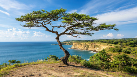 A stunning coastal landscape featuring a solitary tree overlooking the serene ocean and cliffs. The scene captures the tranquility of nature under a bright sky.の素材