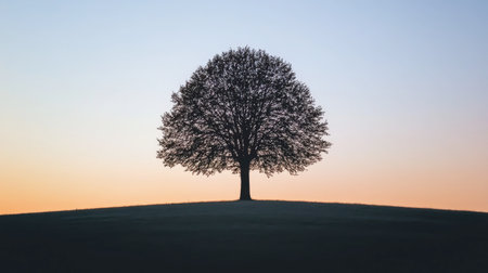 A stunning silhouette of a majestic tree on a hilltop at sunset, surrounded by a tranquil sky, creating a peaceful and serene atmosphere in nature.の素材