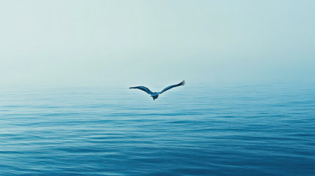 A pelican gliding low over the water, its wings barely skimming the surface of a calm ocean.の素材
