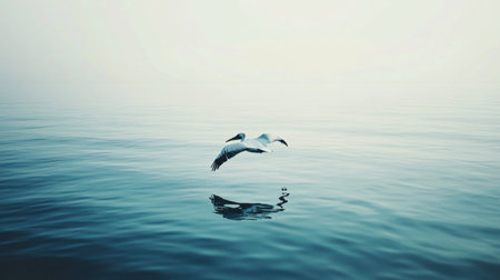A pelican gliding low over the water, its wings barely skimming the surface of a calm ocean.の素材
