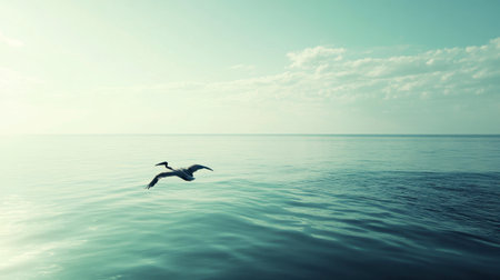 A pelican gliding low over the water, its wings barely skimming the surface of a calm ocean.の素材