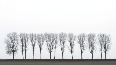 A row of bare trees in the wintertime, their branches silhouetted against a gray sky.の素材