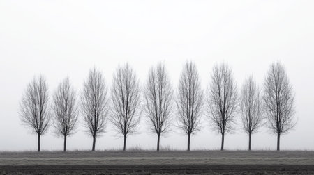 A row of bare trees in the wintertime, their branches silhouetted against a gray sky.の素材