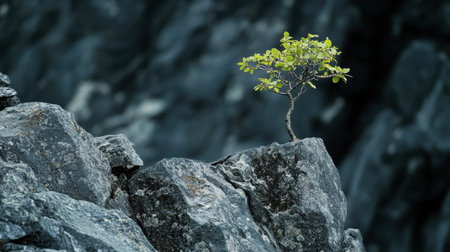 A rustic farmhouse with a red barn, surrounded by fields of golden wheat under a blue sky.の素材