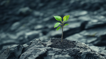 A rustic farmhouse with a red barn, surrounded by fields of golden wheat under a blue sky.の素材