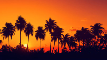 A deep orange sky during sunset, with the silhouettes of palm trees swaying gently in the breeze.の素材