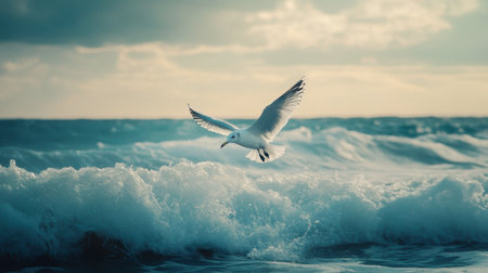 A seagull flying above the ocean, with waves crashing below and the horizon stretching out.の素材