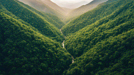 A mountain covered in dense green forest, with a river cutting through the valley below.の素材
